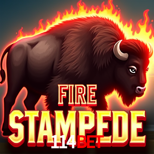 Descubra a Essência do 114Bet: Nossa História e Compromissos